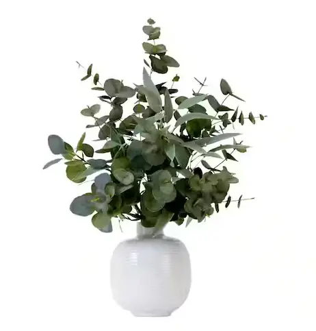 24-Inch Artificial Eucalyptus Garland or Stem – Green Foliage Accent
