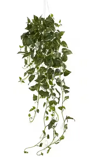 Artificial Pothos Hanging Basket – Lifelike Foliage Display