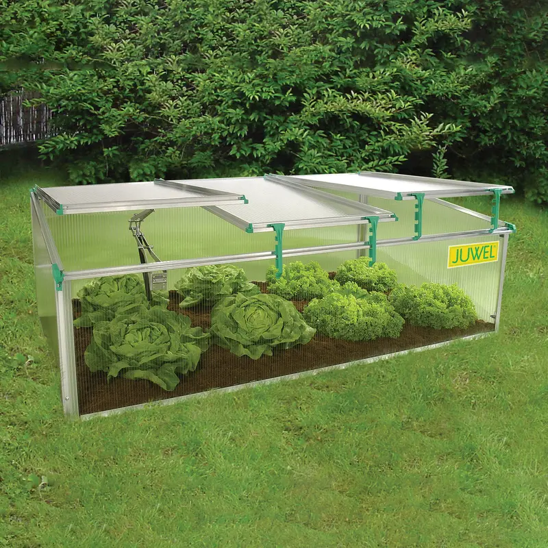 Compact Premium Mini Greenhouse for Indoor Gardening