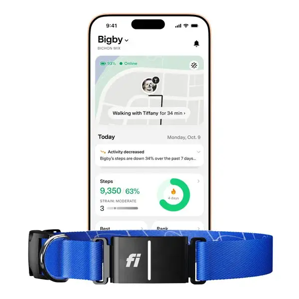 Fi Series 3+ Smart Dog Collar — GPS Location, Activity & Health Tracking (14-Month Plan)