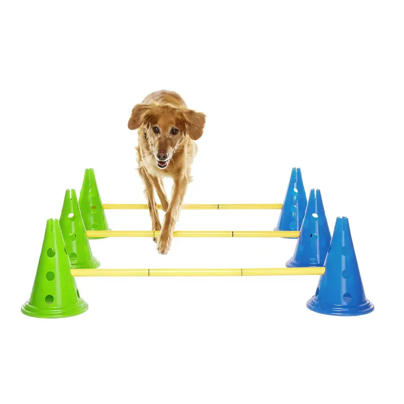 FitPaws CanineGym Agility Kit — 6-Piece Cavaletti Set for Dog Training