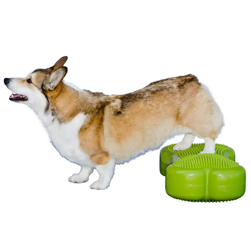 FitPaws K9 FitBone + Duo Disk Inflatable Training Bundle for Canine Fitness