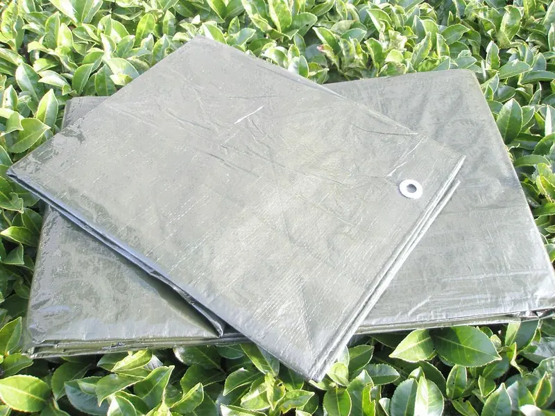 Green Middle-Size Garden Trough 3 x 4 Meters
