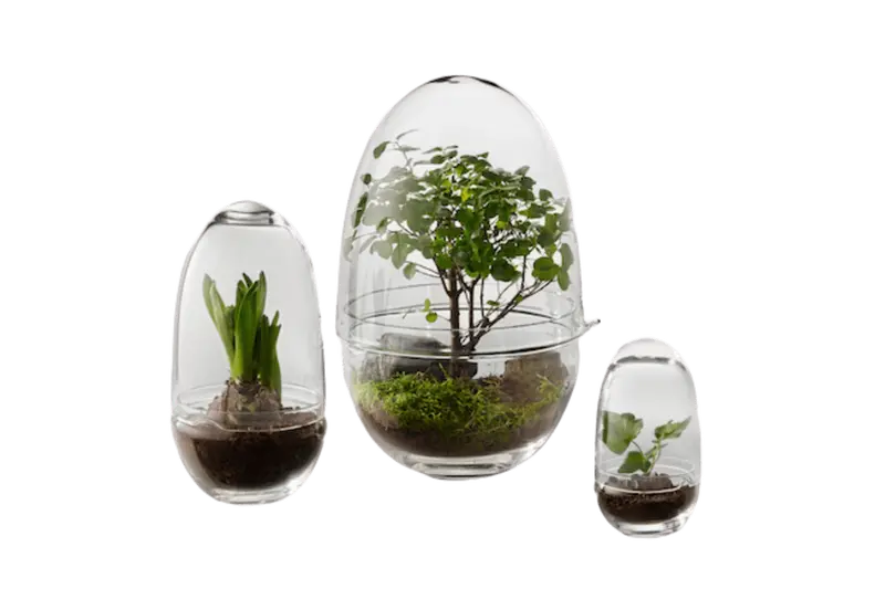 Grow Stockholm-Style Indoor Greenhouse