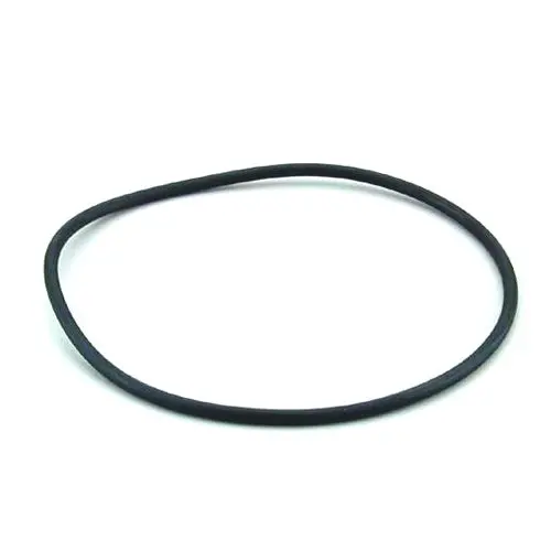 Millennium 660 Filter Lid O-Ring Seal Replacement