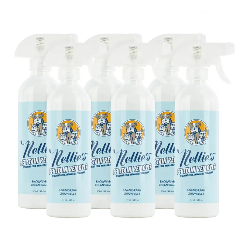 Pet Stain & Odor Remover – 16 fl oz Bottle (6-Pack)