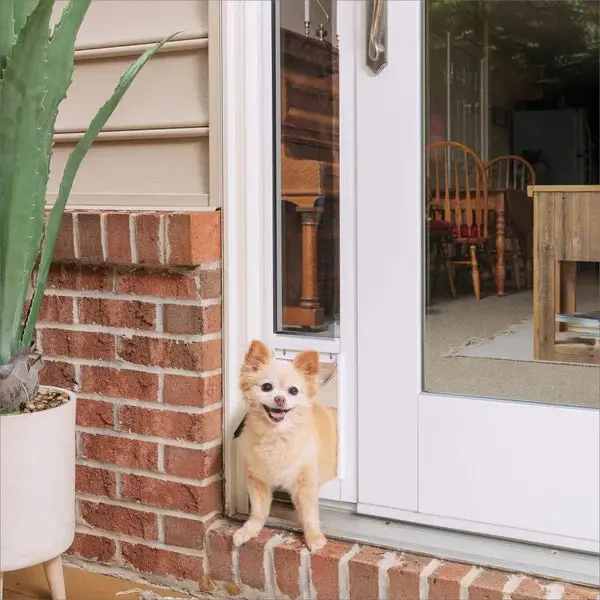 PetSafe Sliding Glass Door Pet Entry — Small Two-Piece Installation Kit