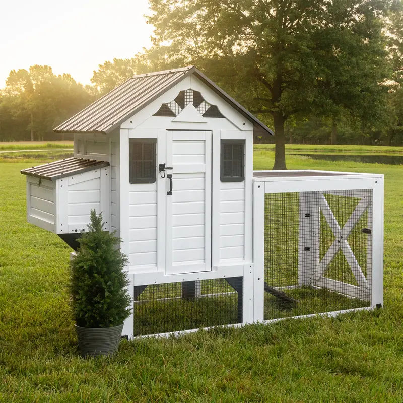 Sweetwater Chicken Coop – Durable Backyard Poultry Housing