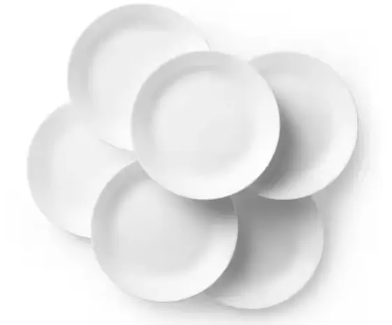 Winter Frost White Dinner Plates – 10.25″ Diameter, 6-Pack