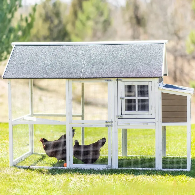 Zylina Superior Ventilated Chicken Coop with Run Enclosure